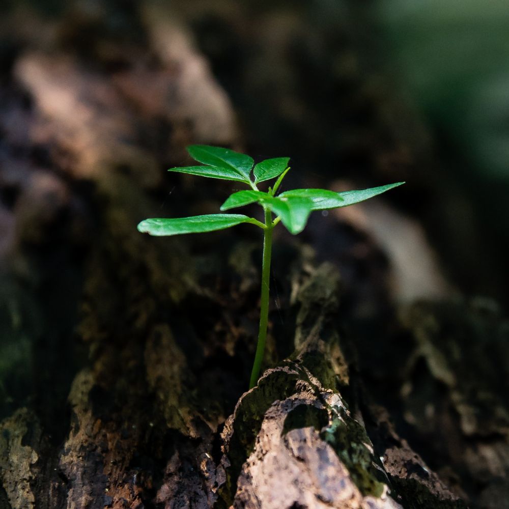 The Power of Purpose: Books to Help You Discover Life's Meaning