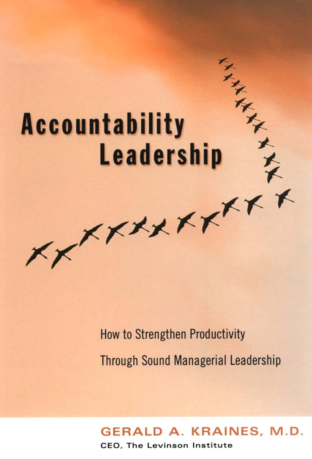 Book Summary: Accountability Leadership